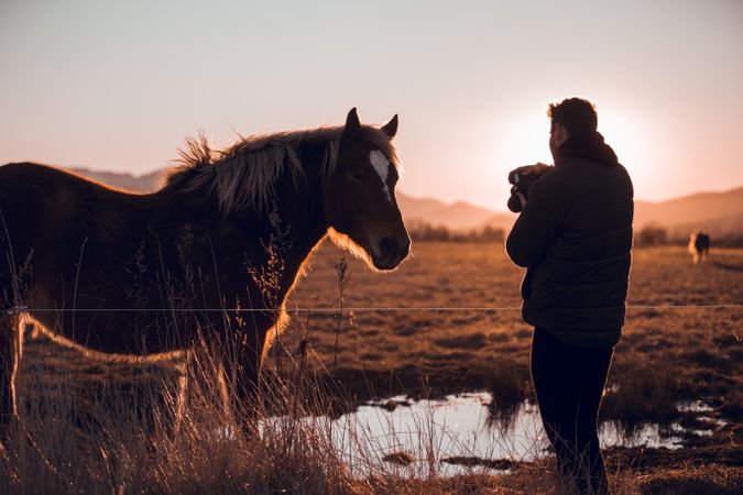 Man shooting on camera wild horse pasturing on field near water