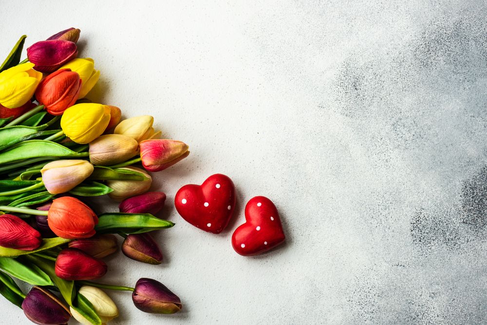 Top view of tulips and dotted heart ornaments