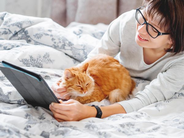 Cute ginger cat and woman in glasses lying in bed looking at tablet