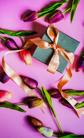 Spring floral concept with tulips and giftbox on bright pink background