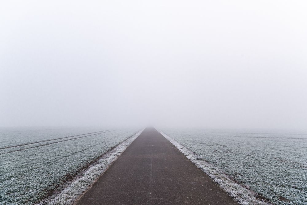 Pathway through frozen agricultural fields