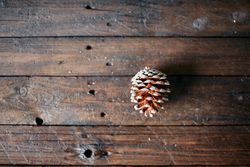 A pine cone of a stone pine on a wooden table