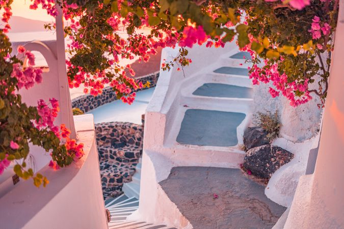 Narrow stair walkway in Greece at sunset with vine of flowers