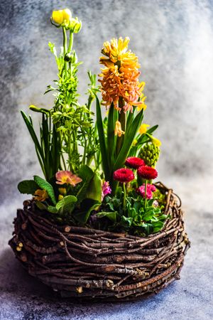 Nest spring composition with colorful flowers