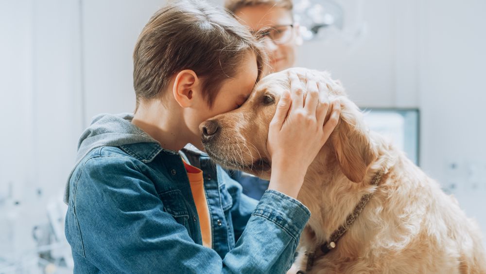 Boy Petting and Bonding with the Dog