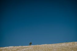 Landscape with hill and moon in blue sky