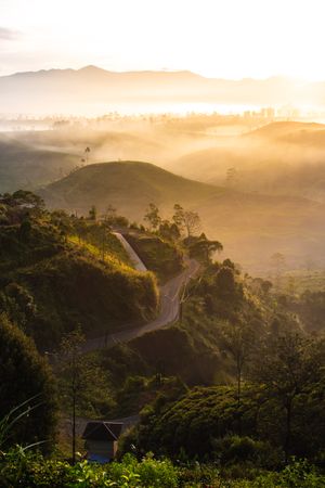 Morning Mist Over Green Hills