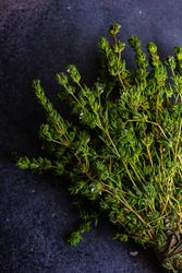 Top view of bunch of fresh ombalo herb