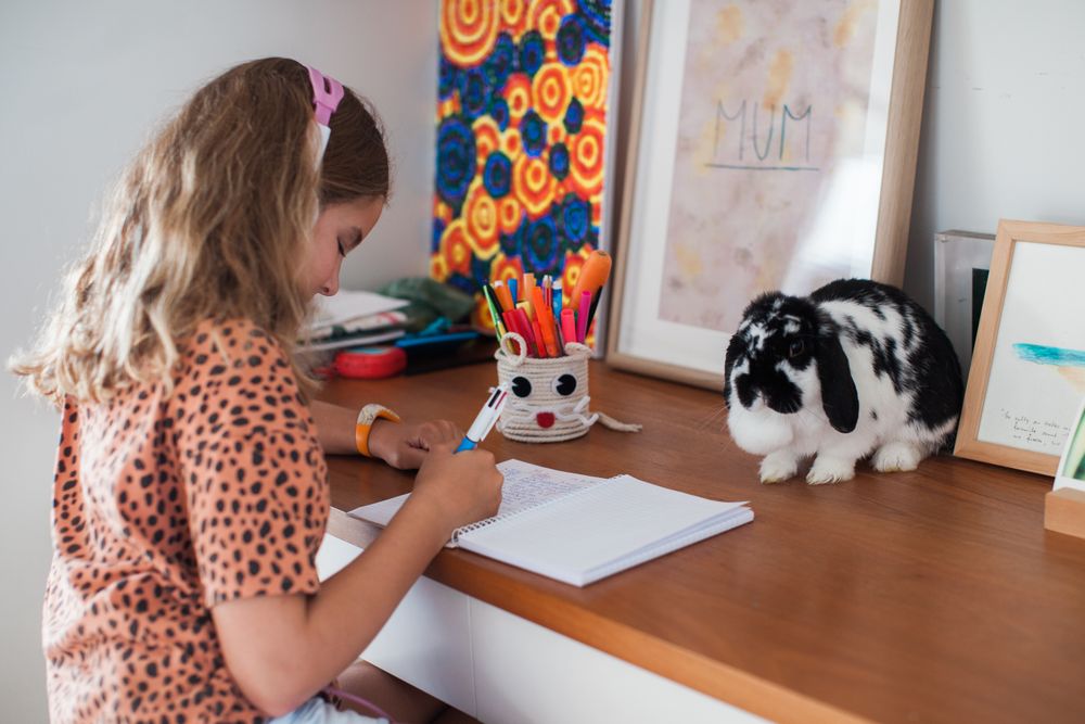 Girl doing her homework