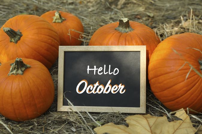 Autumn concept with pumpkins and chalkboard outdoor
