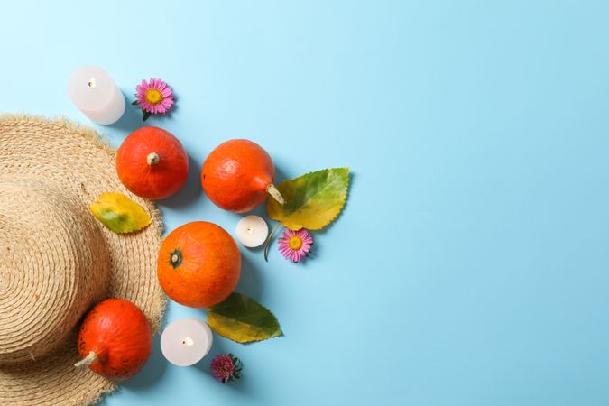 Pumpkins, leaves, flowers, candles and straw hat on blue background, copy space