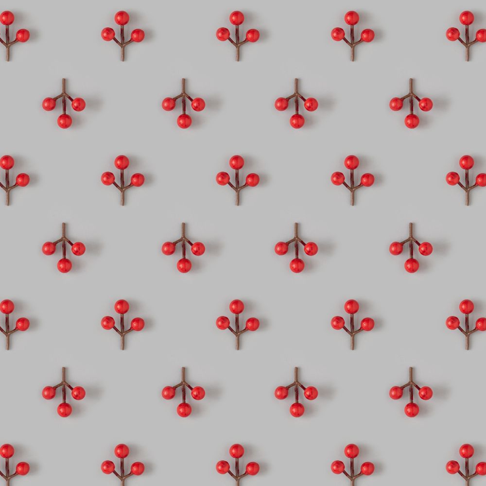 Mistletoe berry artfully arranged on exact rows on gray background