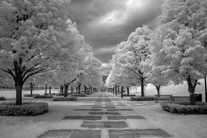 Infrared line of trees leading up to Nelson Atkins Art Museum in Kansas City, Missouri