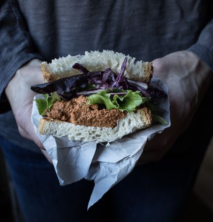 Hands with sandwich with vegetables and pate on tray
