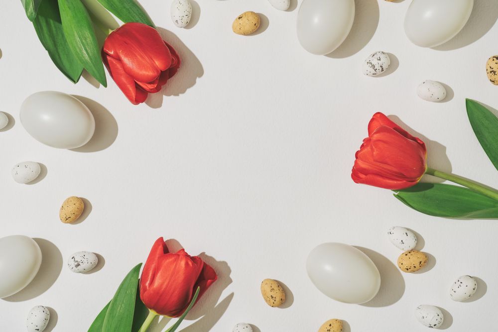 Easter eggs and red tulip flowers bordering light background