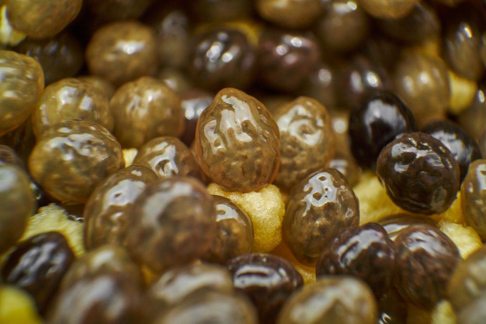 Heap of ripe papaya seeds