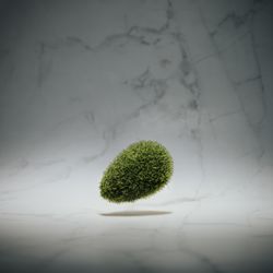 Moss egg on marble background