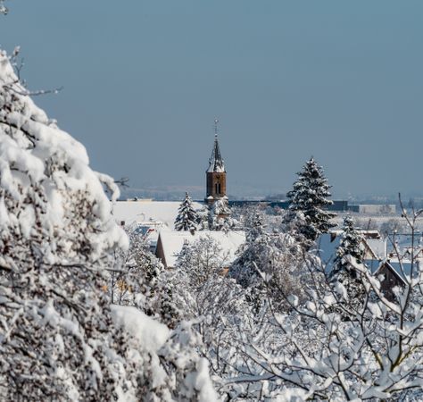 Winter's Tale. Snow-covered clean light landscape of Alsace.