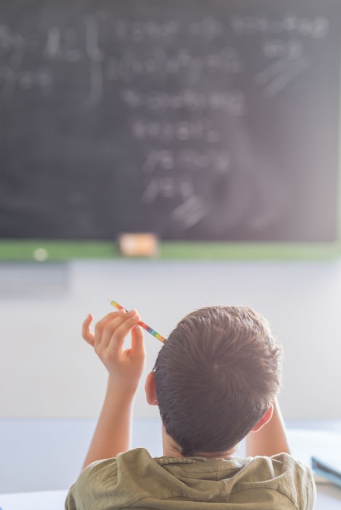 Back of teenage male student sitting in class