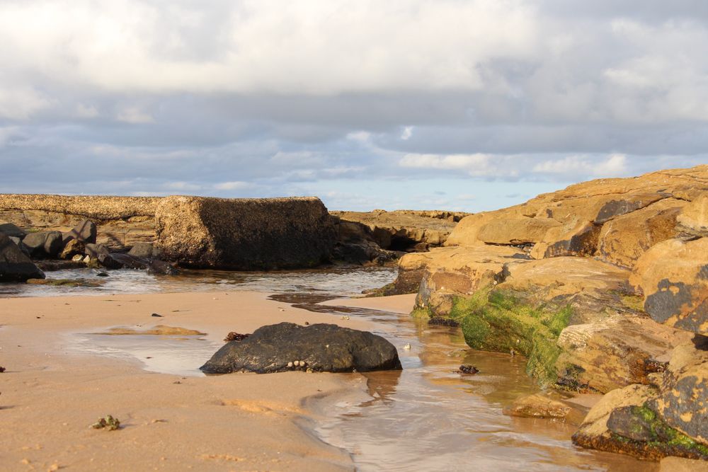Rocky Beach With Calm Water And Overcast Sky At Low Tide