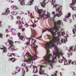 Sweet pink macaron cookies on bed of purple petals, square crop