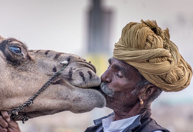 Man wearing turban kissing camel