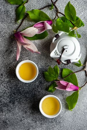 Top view of magnolia flowers with green tea and teapot