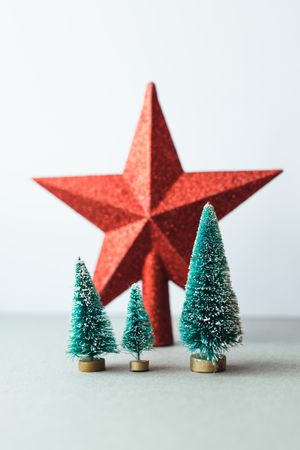 Small artificial Christmas trees on wooden stand