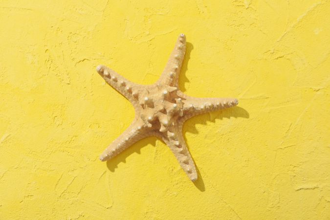 Starfish on yellow background, top view. Sea vacation