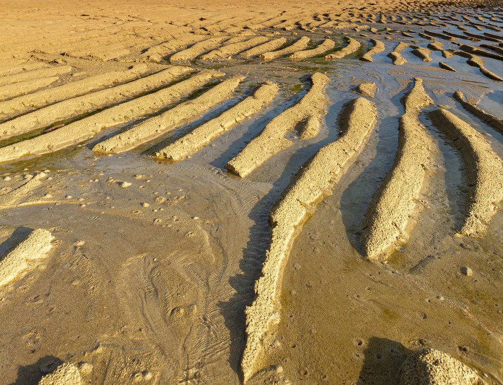 Beach Sand