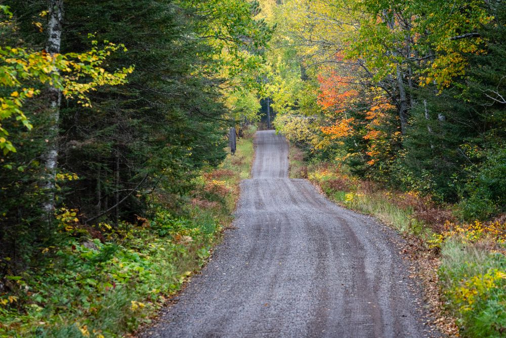 Quiet rural road in the fall