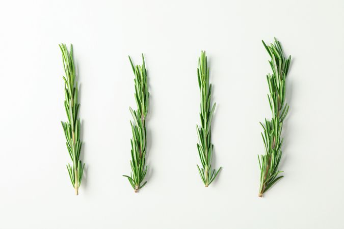 Flat lay composition with rosemary on neutral background, space for text