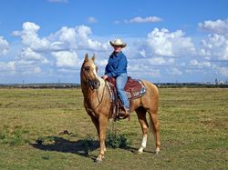 Woman on horseback at Cannon Quarter Horse Ranch near Venus, Texas 0yX87b