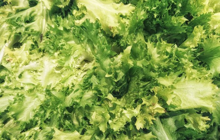 salad texture