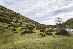 Green hill meadow valley