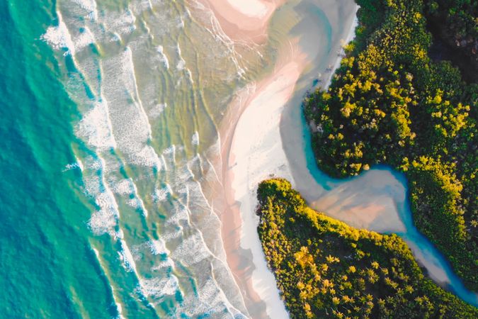 Aerial view of green trees and sand beach in Brazil