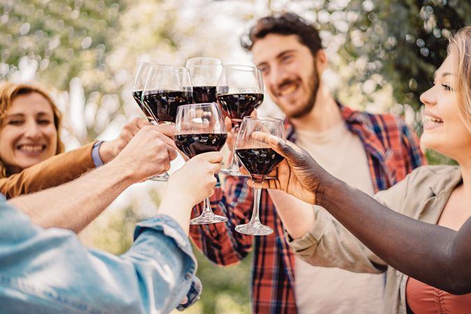 A diverse group of friends cheerfully toasting with glasses of red wine, enjoying a sociable moment outdoors