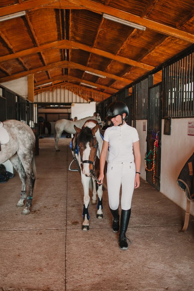 Jockey leading horse out of stable