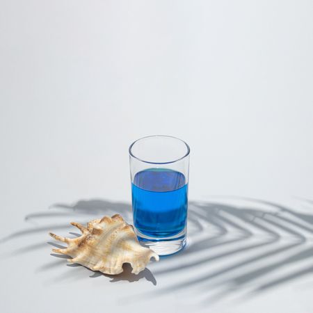 Cold blue drink glass with seashell under green palm branch