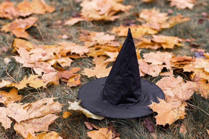 Witch hat on autumn tree leaves