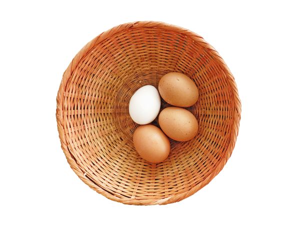 Cooking Eggs On Blank Background