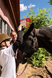 Child gently touches horse's forehead, guided by an adult