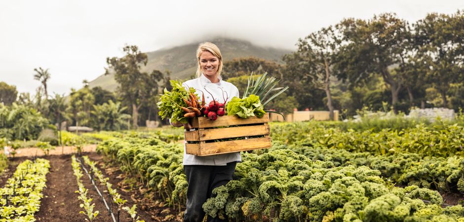 Cheerful young chef smiling at the camera while carrying a crate full of freshly picked veggies