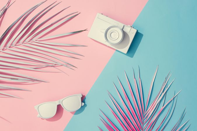 Tropical painted leaves, sunglasses and camera on pink and blue background