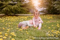 Girl and a baby sitting in yellow flower field bE8NV4