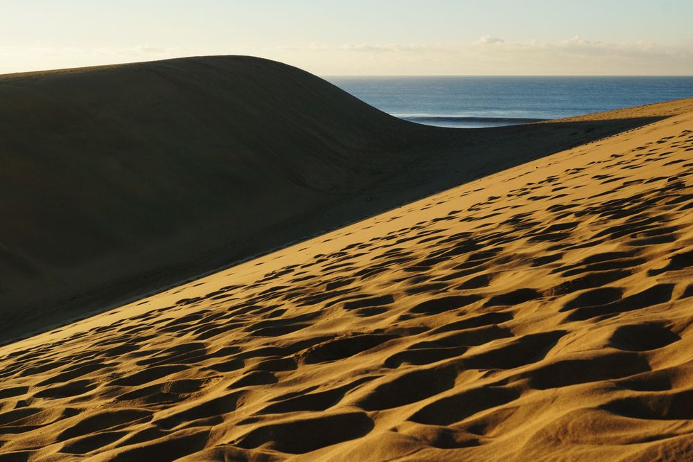 Sandy dunes with traces in sunlight