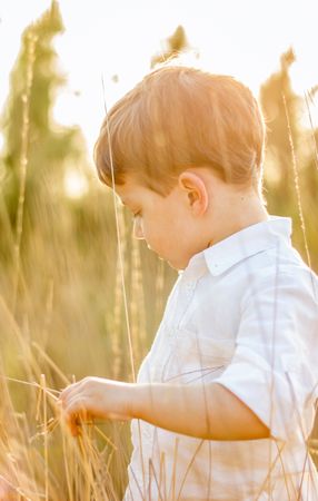 Kid in field playing with spikes at summer sunset