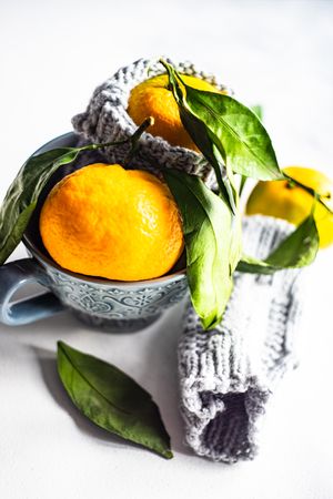 Close up of organic tangerines in cup with woolen cosy