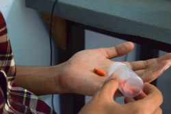 Hand of person with red pill in palm