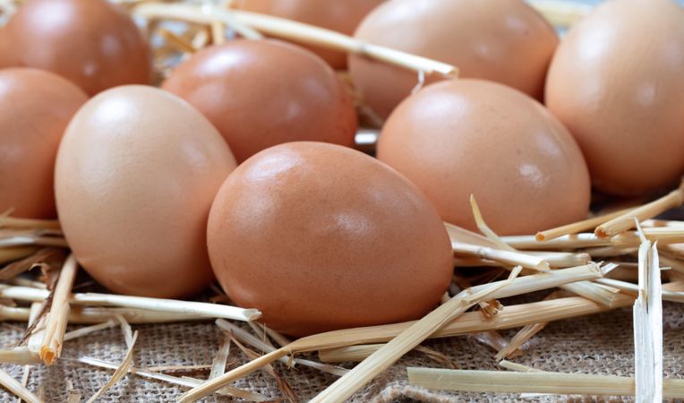 Farm fresh brown organic eggs